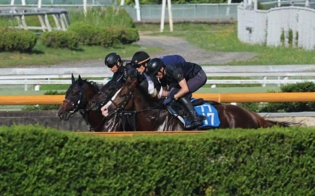 バズアップビート、ラジオNIKKEI賞1週前追い切り速報/栗東トレセンニュース