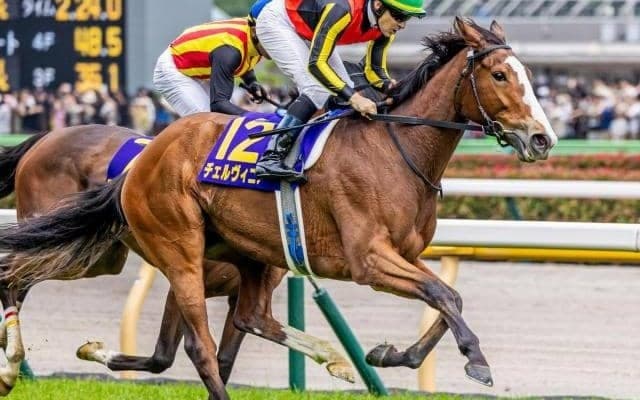 【しらさぎS】オークス馬がGIII制覇なら20年ぶり！ チェルヴィニアが復活Vなるか