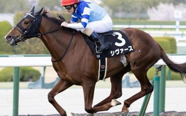 【しらさぎS】「大魔神」佐々木主浩オーナーのシヴァース 重賞初制覇なるか