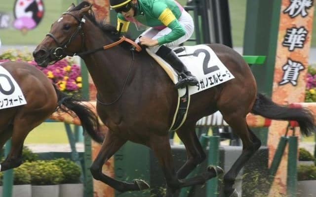 【府中牝馬S予想】波乱含みの一戦でAIは興味深い一頭を指名 負担重量が重要なファクターに