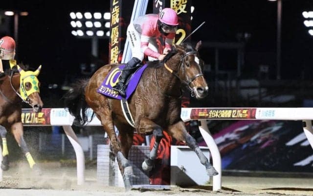ミリアッドラヴの競走馬登録抹消…函館SSで競走中止