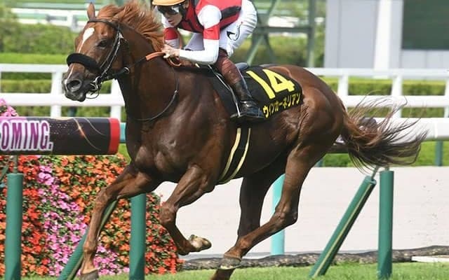 重賞馬は10頭超え しらさぎS前身の米子Sを制した馬たち