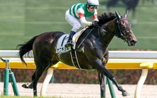 【府中牝馬S出走馬・騎手確定】カニキュル＆戸崎圭太騎手、セキトバイースト＆浜中俊騎手など14頭