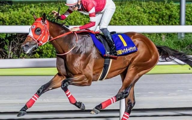 半兄はフォーエバーヤング ダーリングハーストが芝マイルでデビュー勝ち狙う