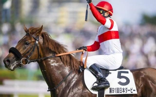 半兄はダノンデサイル ブレイントゥルーが待望の復帰戦だ