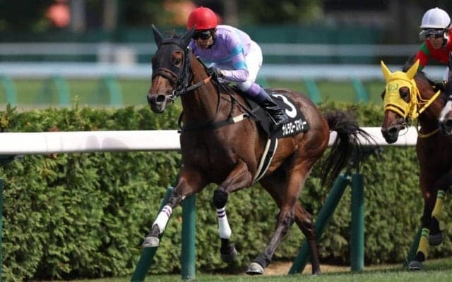 武豊騎手 今週の騎乗馬…函館で14鞍