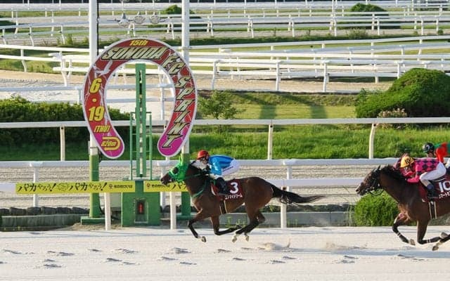 【園田FCスプリント】ユアマイドリームが電光石火の逃走劇！園田FCスプリントで3歳牝馬が古馬撃破
