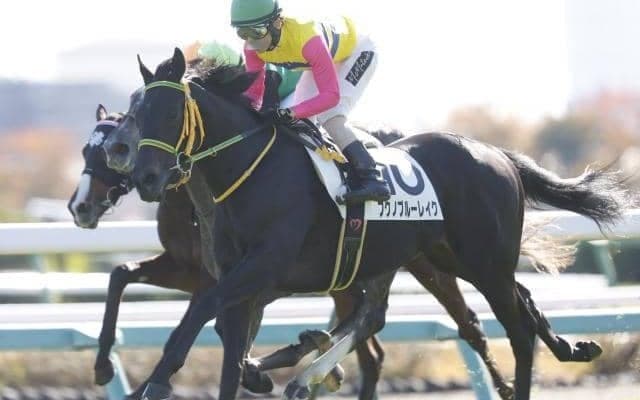 【ラジオNIKKEI賞想定馬・騎手】フクノブルーレイク、センツブラッドなど14頭