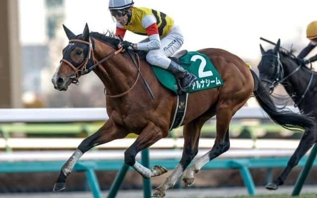 【函館記念想定馬・騎手】アルナシーム、ハヤテノフクノスケなど14頭