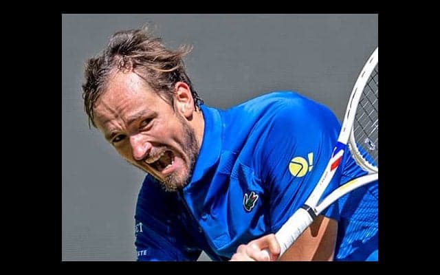  メド4強、技ありショットで観客沸かす 