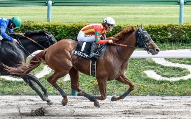 【今日の注目ポイント】新馬戦にクロワデュノールの全弟チャリングクロスなどが登場