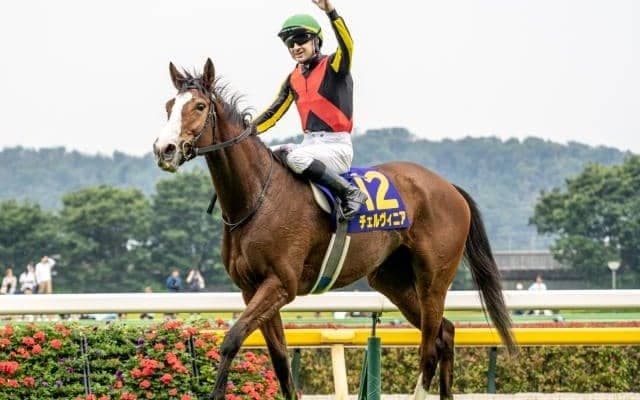 【しらさぎS予想】阪神芝1600mの適性に不安あり!? 近況のリズムもひと息で軽視したい実力馬とは