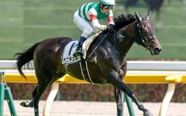 【府中牝馬S前日オッズ】カニキュルが2.4倍で1番人気