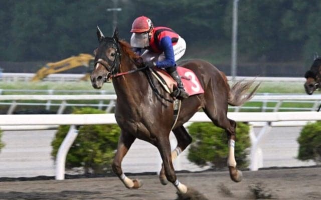 【高知・御畳瀬特別】ユメノホノオが3馬身差で快勝！韓国遠征明けも貫禄の連覇達成