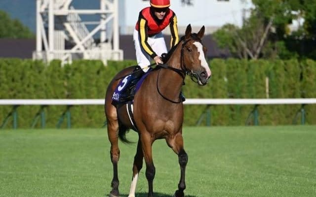 【今日の注目ポイント】府中牝馬Sと阪神で新設重賞・しらさぎS