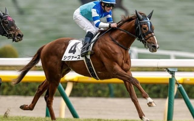 【しらさぎS予想】米子Sを前身とするGIII重賞 サマーマイルシリーズの幕開け