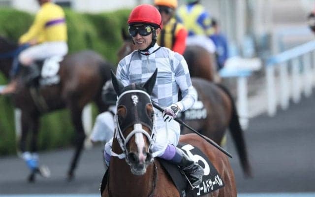 【STV杯】武豊「最後は切れました」ゴールドサーベルが鮮やかな差し切りV