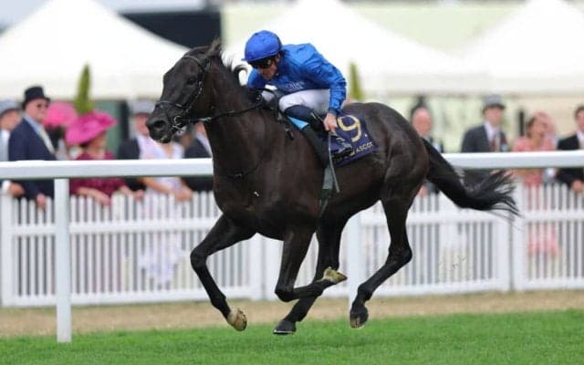 【英ハードウィックS】レベルスロマンスが圧巻V…アルリファーは2着