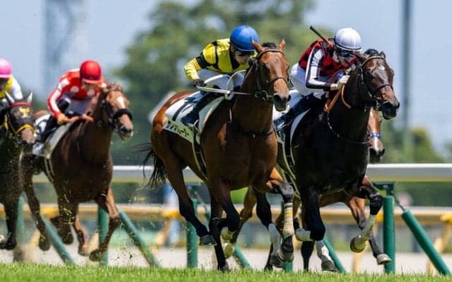 【新馬/東京5R】サノノグレーターがデビューV…フォーエバーヤング半妹は3着