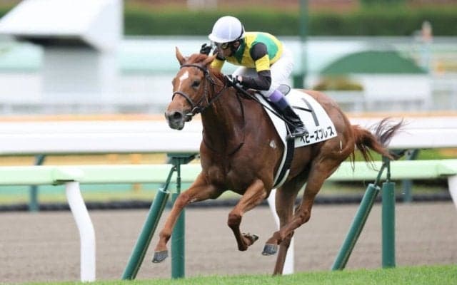 【函館1R】武豊ベビーズブレスが人気に応えて逃げ切り