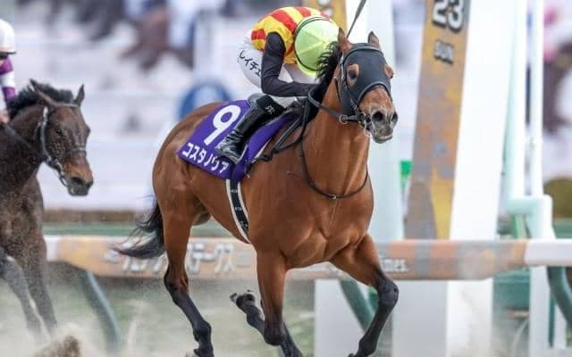 【浦和・さきたま杯枠順】JpnI・3勝目狙うシャマルは2枠2番、フェブラリーS覇者コスタノヴァは3枠3番