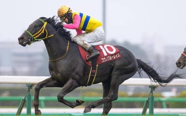 【ラジオNIKKEI賞】フクノブルーレイク、センツブラッドらが登録