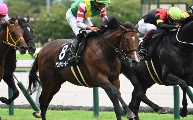 ハンデ重賞の函館記念とラジオNIKKEI賞/今週の競馬界の見どころ