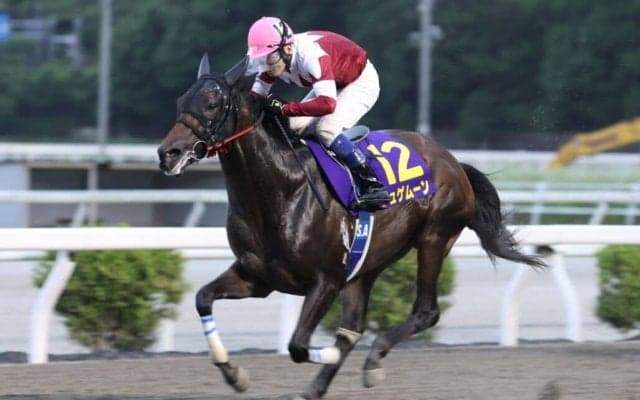 【高知優駿】ジュゲムーン完勝で高知三冠に王手