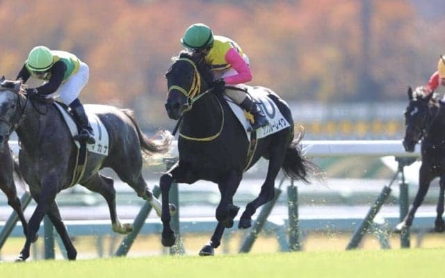 【ラジオNIKKEI賞登録馬】フクノブルーレイクなど14頭