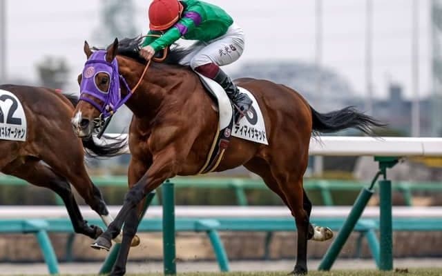 【函館記念見どころ】子から父にジョッキーのバトンを繋ぐディマイザキッド