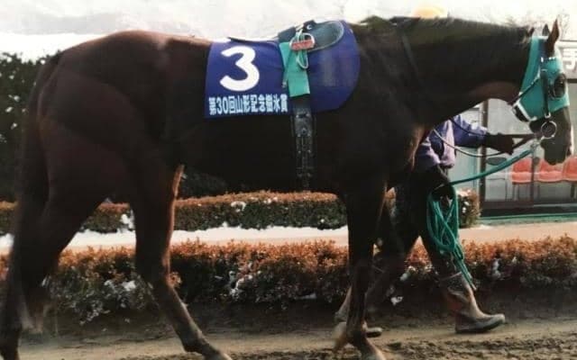 さきたま杯勝ち時計ランキング 99年の衝撃タイムは今もコースレコード