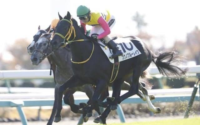 【AI予想・ラジオNIKKEI賞】混戦ムードの3歳限定ハンデ重賞！ 人工知能は波乱の可能性も示唆