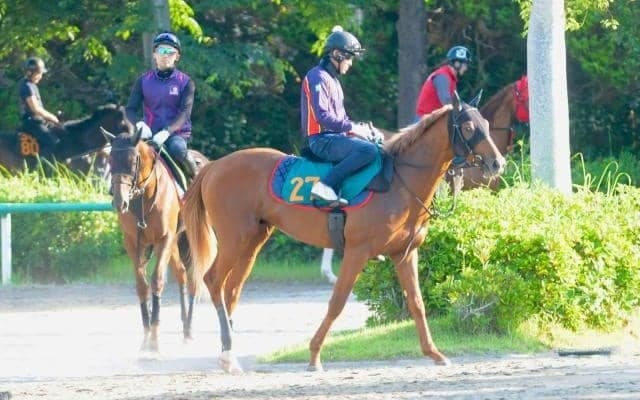 全兄に皐月賞馬のジオグリフ ロスパレドネスが日曜福島で初陣/関東馬メイクデビュー情報