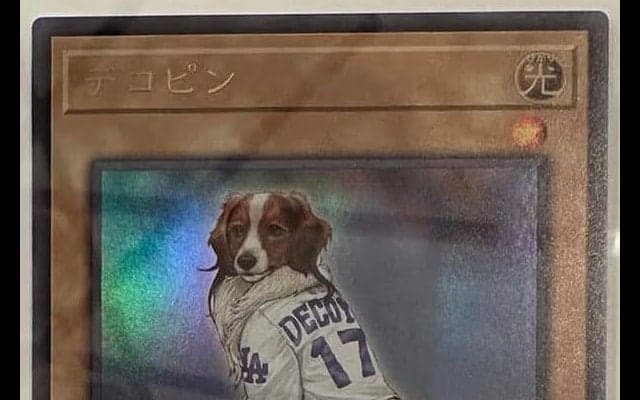 異例　デコピンが遊戯王カードに…大谷翔平がSNSで公開　“オフの日”最新ショットも