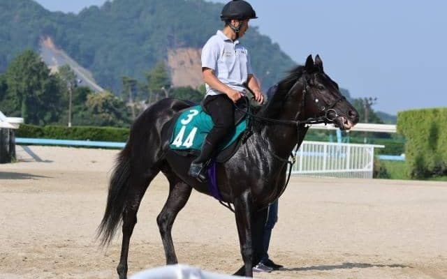 キッコベッロなど先週の入厩情報/栗東トレセンニュース