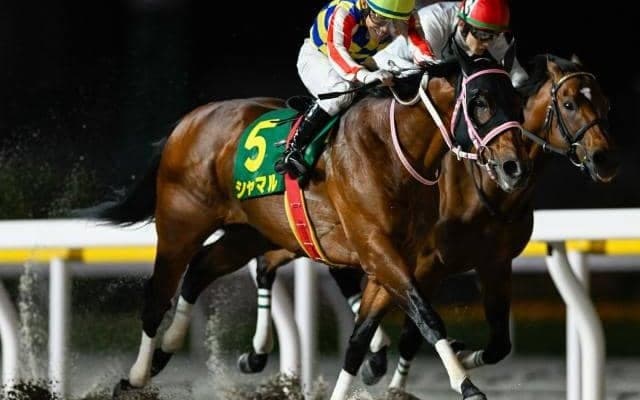 【浦和・さきたま杯注目馬】上半期のダート短距離王決定戦に優駿12頭集結