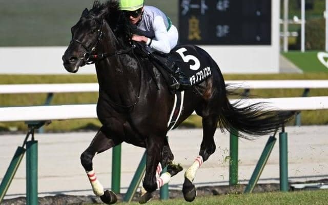 【函館記念予想オッズ】ハヤテノフクノスケが予想1番人気