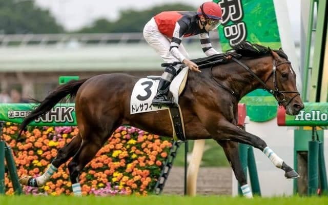 【ラジオNIKKEI賞予想オッズ】トレサフィールが予想1番人気