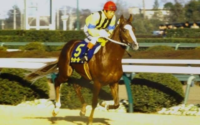 37年前の「1分57秒8」は今も破られず 函館記念の勝ち時計ランキング