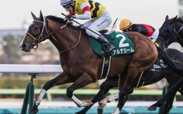 【函館記念】3年ぶりに重賞ウイナーの戴冠なるか アルナシームが負けられない一戦だ