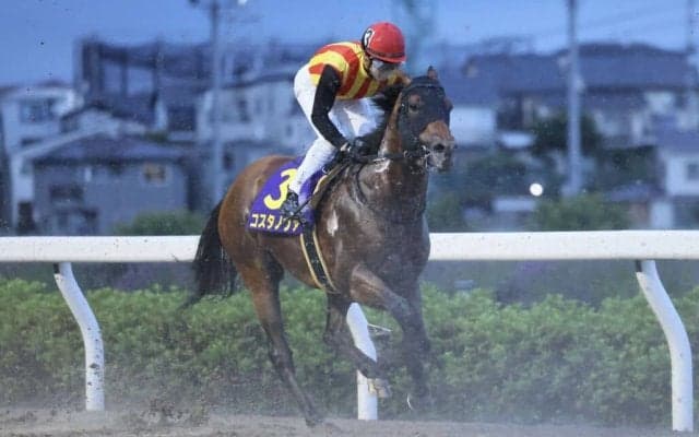 【さきたま杯】ルメール「スタートが決まらなかった…」コスタノヴァ出遅れで11着大敗