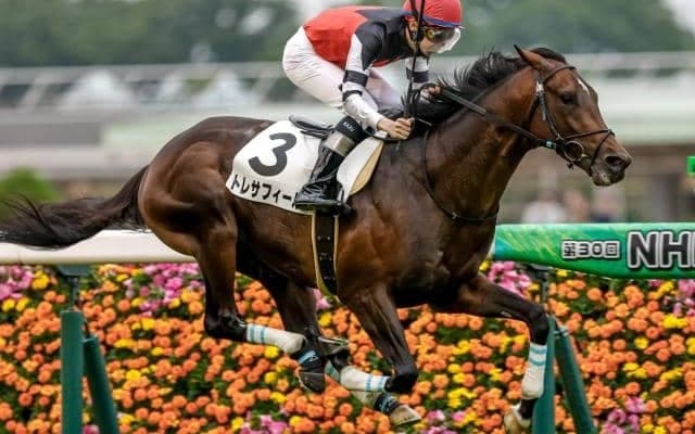 【ラジオNIKKEI賞出走馬・騎手確定】トレサフィール＆横山典弘騎手、バズアップビート＆戸崎圭太騎手など14頭