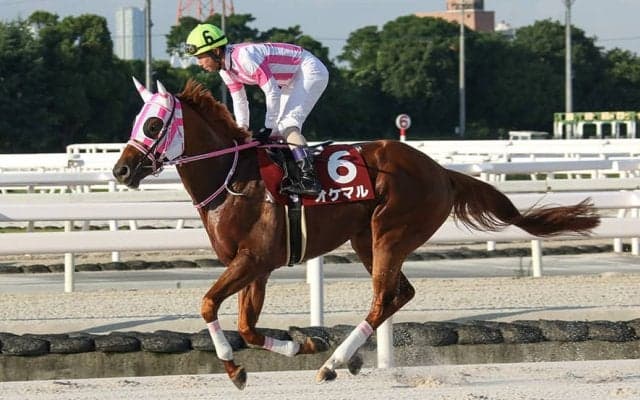 【園田・兵庫優駿】無敗の2冠！オケマルが8馬身差圧勝…無傷の7連勝を決める