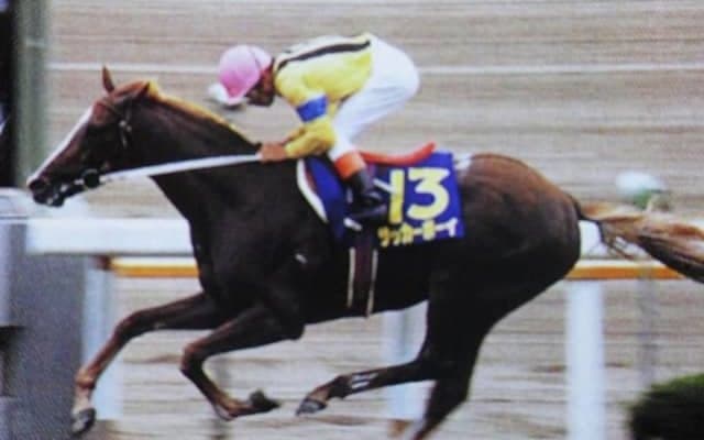 函館記念着差ランキングTOP5 1位は圧巻の5馬身差V