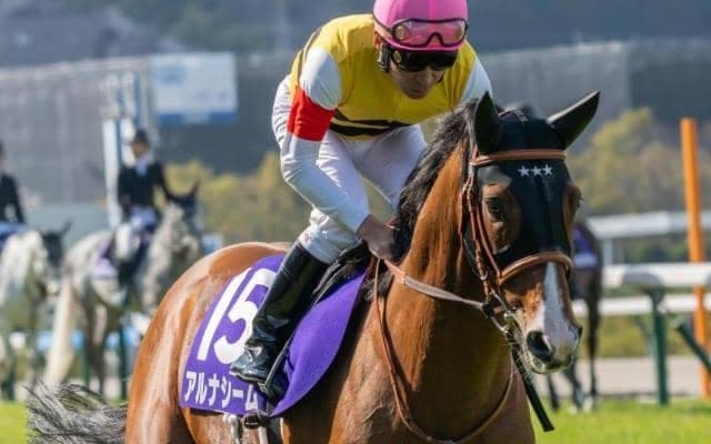 【函館記念枠順確定】アルナシームは6枠9番、マコトヴェリーキーは8枠13番