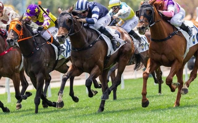 【函館記念／データ攻略】アルナシームとディマイザキッドの「買い or 消し」　“15番人気1着馬”との共通点持つ妙味馬は