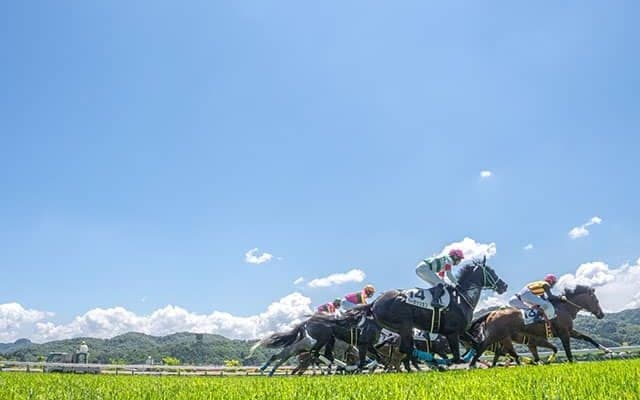 Disco Partner産駒がJRA初出走 メーゼがデビュー勝ち狙う