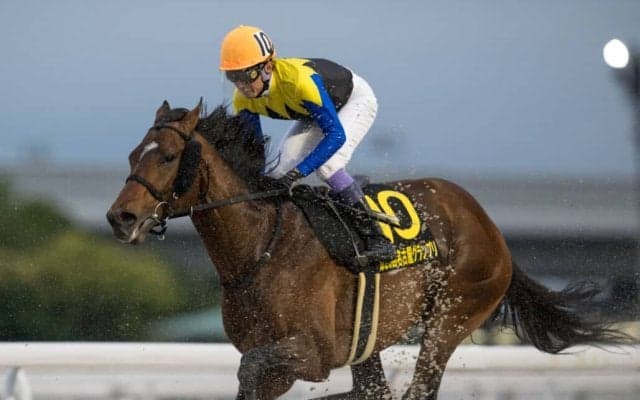 【帝王賞】武豊ノットゥルノ、川田ウィルソンテソーロなどJRAは6頭