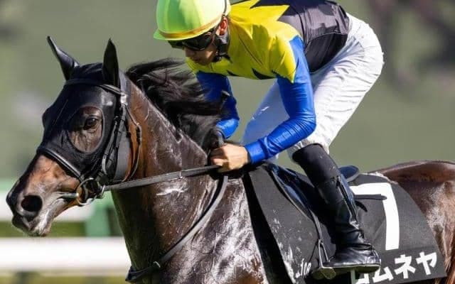 【松島特別】半妹は名牝リバティアイランド ロムネヤが待望の3勝目なるか