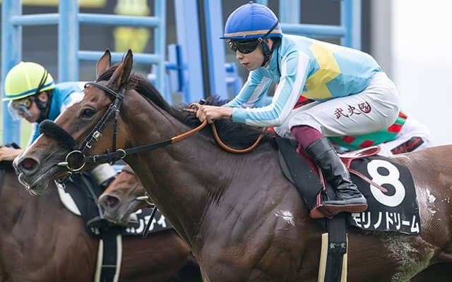 【青函S】ヒモ荒れ傾向のハンデ戦 道中の位置取りがカギか